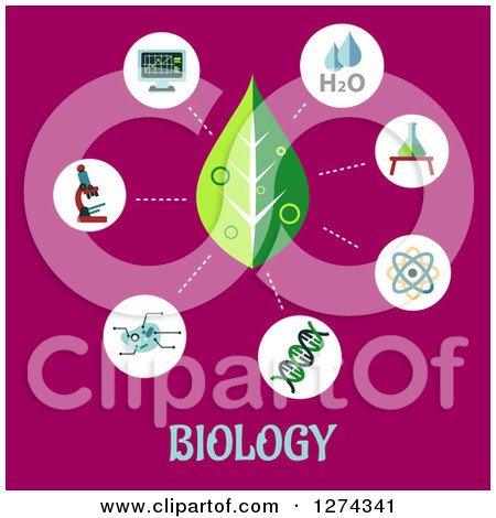 Clipart of a Leaf and Science Icons on Pink over Biology Text - Royalty Free Vector Illustration by Vector Tradition SM