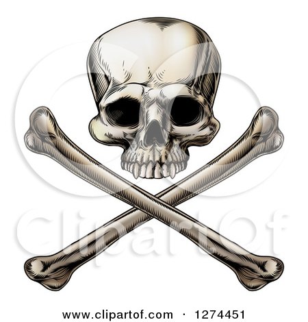 Clipart of an Engraved Human Skull over Crossed Bones - Royalty Free Vector Illustration by AtStockIllustration