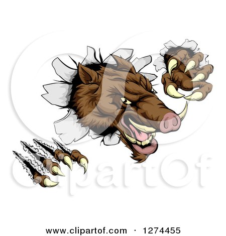 Clipart of a Fierce Brown Boar Monster Clawing Through a Wall - Royalty Free Vector Illustration by AtStockIllustration