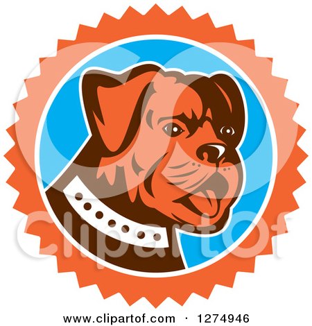 Clipart of a Retro Cute Bulldog in an Orange White and Blue Burst - Royalty Free Vector Illustration by patrimonio