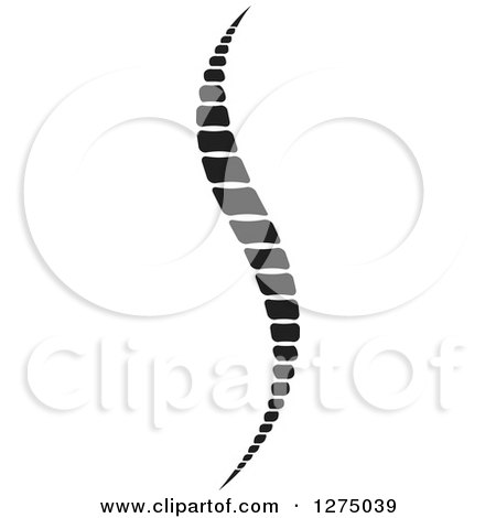 Clipart of a Black and White Spine 2 - Royalty Free Vector Illustration by Lal Perera