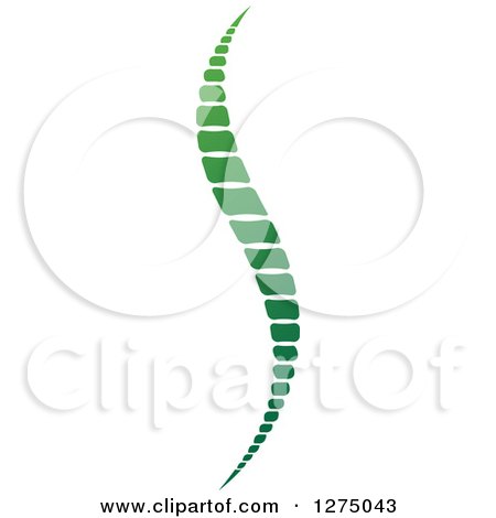 Clipart of a Green Spine - Royalty Free Vector Illustration by Lal Perera