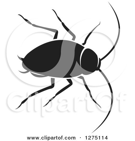 Clipart of a Black and White Cockroach - Royalty Free Vector Illustration by Lal Perera