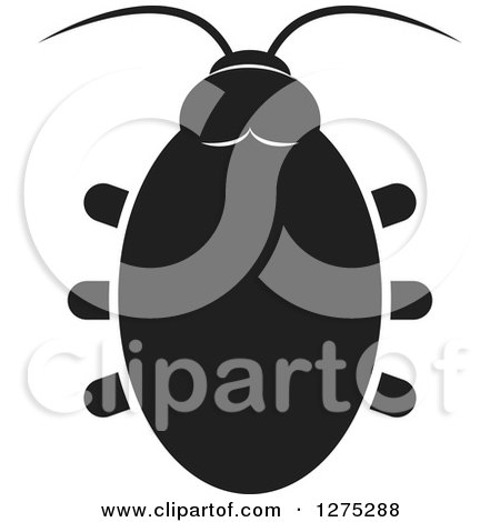 Clipart of a Black and White Beetle - Royalty Free Vector Illustration by Lal Perera