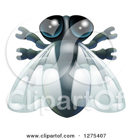 Clipart of a Cute House Fly Bug - Royalty Free Vector Illustration by AtStockIllustration