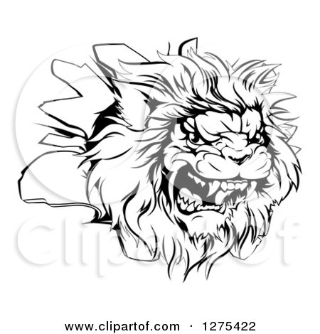 Clipart of a Black and White Roaring Angry Lion Head Breaking Through a Wall - Royalty Free Vector Illustration by AtStockIllustration