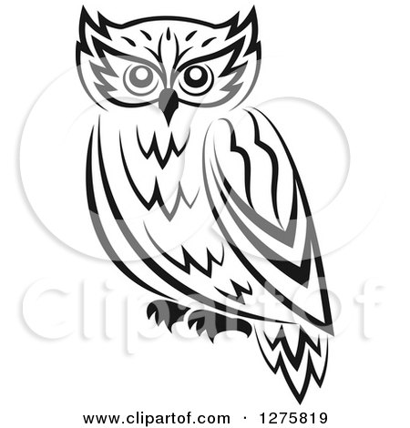 Clipart of a Black and White Resting Owl - Royalty Free Vector Illustration by Vector Tradition SM