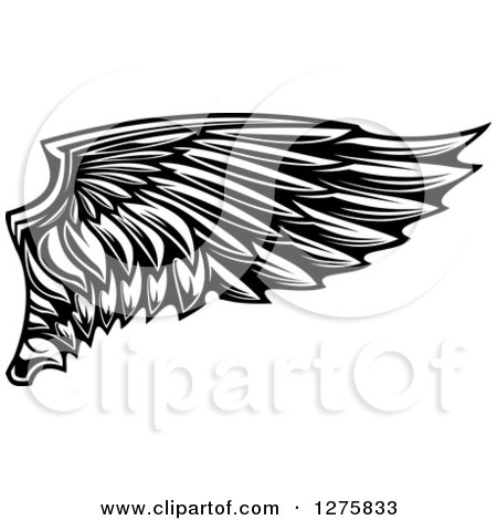 Clipart of a Black and White Feathered Wing 17 - Royalty Free Vector Illustration by Vector Tradition SM
