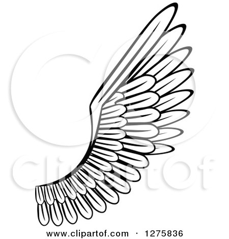 Clipart of a Black and White Feathered Wing 20 - Royalty Free Vector Illustration by Vector Tradition SM