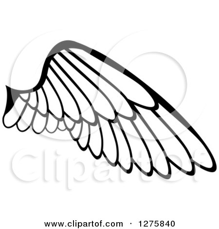 Clipart of a Black and White Feathered Wing 12 - Royalty Free Vector Illustration by Vector Tradition SM