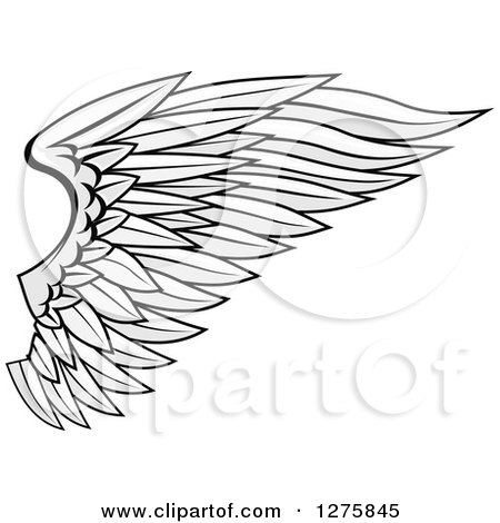Clipart of a Grayscale Feathered Wing - Royalty Free Vector Illustration by Vector Tradition SM