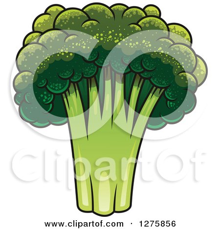 Clipart of a Broccoli Crown - Royalty Free Vector Illustration by Vector Tradition SM