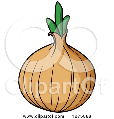 Clipart of a Yellow Onion - Royalty Free Vector Illustration by Vector Tradition SM