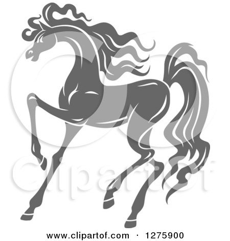 Clipart of a Gray Prancing Horse - Royalty Free Vector Illustration by Vector Tradition SM
