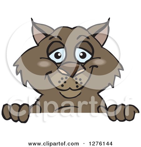 Clipart of a Happy Wombat Peeking over a Sign - Royalty Free Vector Illustration by Dennis Holmes Designs