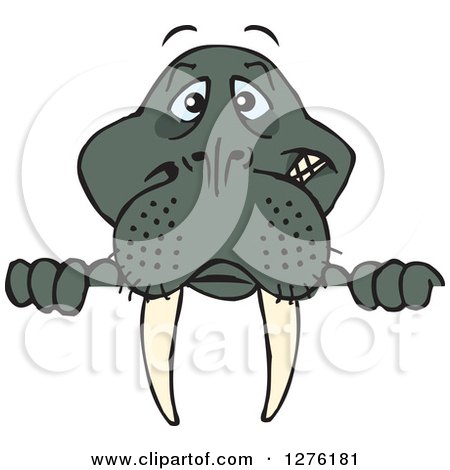 Clipart of a Walrus Peeking over a Sign - Royalty Free Vector Illustration by Dennis Holmes Designs
