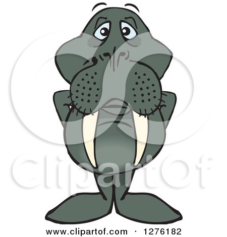 Clipart of a Walrus Standing - Royalty Free Vector Illustration by Dennis Holmes Designs