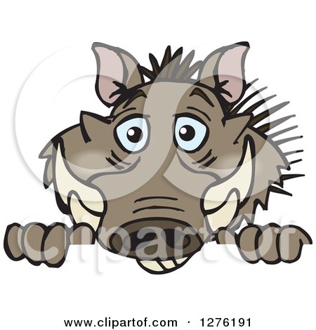 Clipart of a Happy Warthog Peeking over a Sign - Royalty Free Vector Illustration by Dennis Holmes Designs