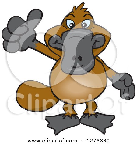 Clipart of a Happy Platypus Holding a Thumb up - Royalty Free Vector Illustration by Dennis Holmes Designs