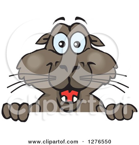 Clipart of a Happy Sea Lion Peeking over a Sign - Royalty Free Vector Illustration by Dennis Holmes Designs
