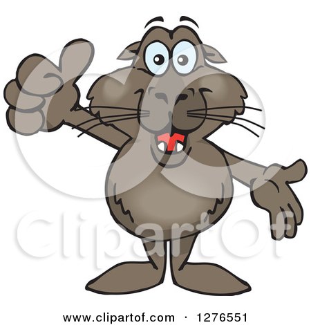 Clipart of a Happy Sea Lion Holding a Thumb up and Presenting - Royalty Free Vector Illustration by Dennis Holmes Designs