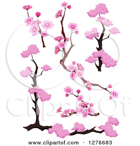 Clipart of Branches and Pink Cherry Blossom Designs - Royalty Free Vector Illustration by BNP Design Studio