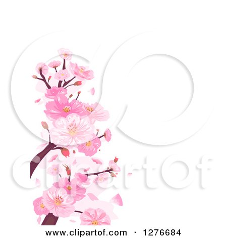 Clipart of a Background of Pink Cherry Blossoms and Branches over White - Royalty Free Vector Illustration by BNP Design Studio
