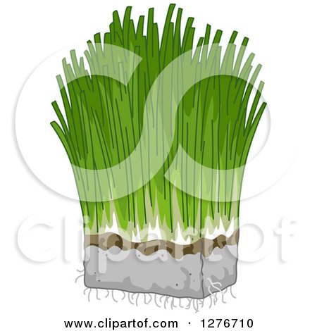 Clipart of a Bunch of Wheat Grass - Royalty Free Vector Illustration by BNP Design Studio