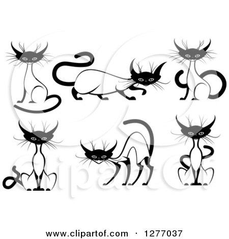 Clipart of Black and White Siamese Cats - Royalty Free Vector Illustration by Vector Tradition SM