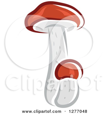 Clipart of Tall White and Brown Mushrooms - Royalty Free Vector Illustration by Vector Tradition SM