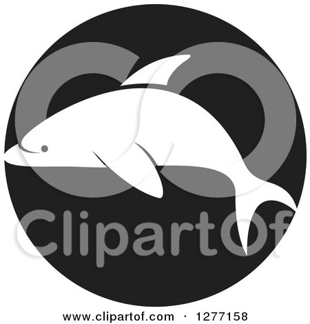 Clipart of a White Silhouetted Dolphin over a Black Circle - Royalty Free Vector Illustration by Lal Perera