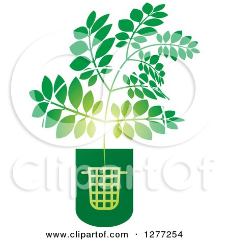 Clipart of a Green Plant Growing from a Trash Can - Royalty Free Vector Illustration by Lal Perera
