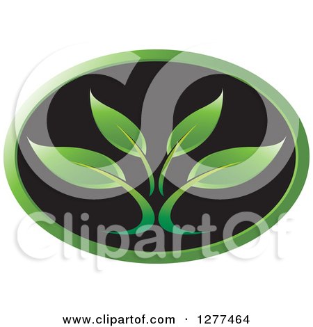 Clipart of a Black and Green Oval Plant Icon - Royalty Free Vector Illustration by Lal Perera