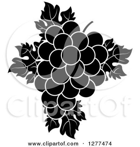 Clipart of Black and White Grapes and Leaves - Royalty Free Vector Illustration by Lal Perera