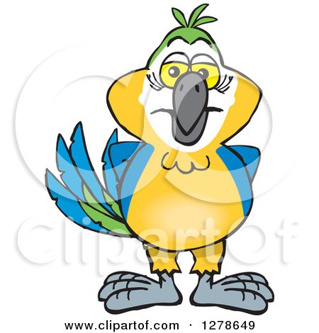 Clipart of a Blue and Yellow Macaw Parrot - Royalty Free Vector Illustration by Dennis Holmes Designs