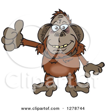 Clipart of a Happy Orangutan Holding a Thumb up - Royalty Free Vector Illustration by Dennis Holmes Designs
