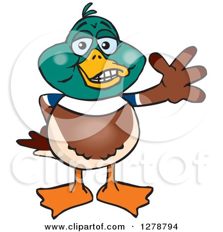 Clipart of a Happy Mallard Drake Duck Waving - Royalty Free Vector Illustration by Dennis Holmes Designs