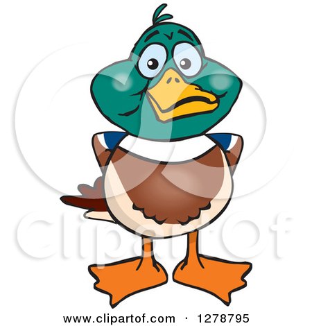 Clipart of a Happy Mallard Drake Duck - Royalty Free Vector Illustration by Dennis Holmes Designs