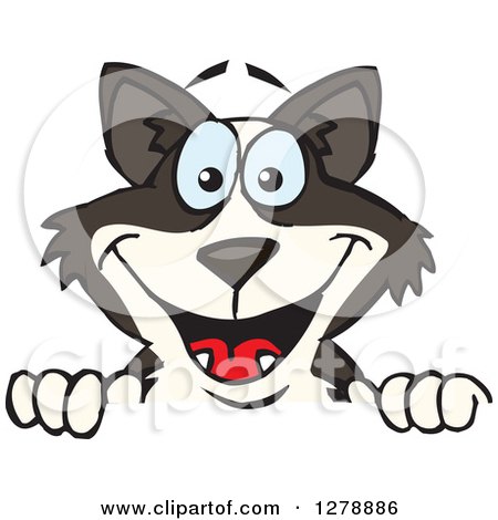Clipart of a Happy Border Collie Peeking and Smiling over a Sign - Royalty Free Vector Illustration by Dennis Holmes Designs