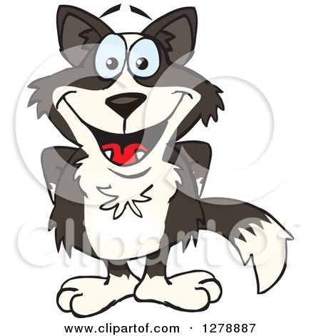 Clipart of a Happy Border Collie Standing with His Hands Behind His Back - Royalty Free Vector Illustration by Dennis Holmes Designs
