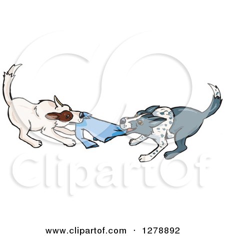 Clipart of Border Collie Dog Fighting over a Shirt - Royalty Free Vector Illustration by Dennis Holmes Designs