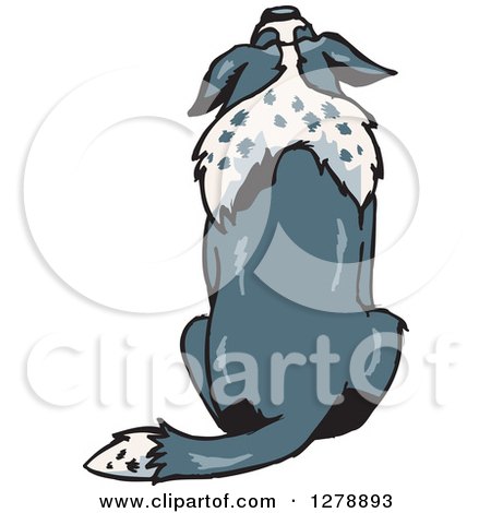 Clipart of a Rear View of a Sitting Border Collie Dog 2 - Royalty Free Vector Illustration by Dennis Holmes Designs
