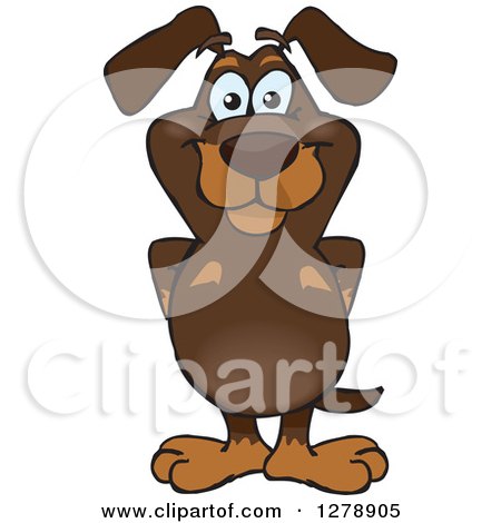 Clipart of a Happy Dachshund Dog Standing - Royalty Free Vector Illustration by Dennis Holmes Designs