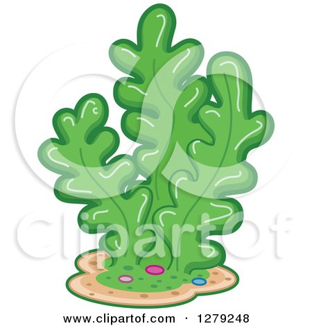 Clipart of a Cluster of Green Seaweed - Royalty Free Vector Illustration by BNP Design Studio