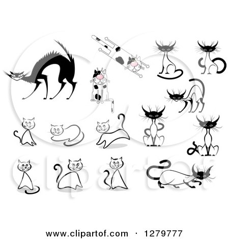 Clipart of Sketched, Siamese, Spotted and Scared Cats - Royalty Free Vector Illustration by Vector Tradition SM