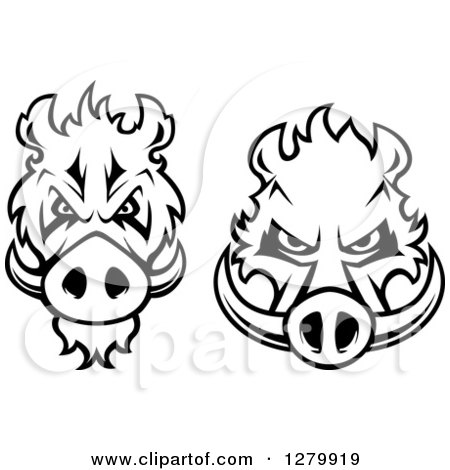 Clipart of Black and White Aggressive Boar Heads - Royalty Free Vector Illustration by Vector Tradition SM