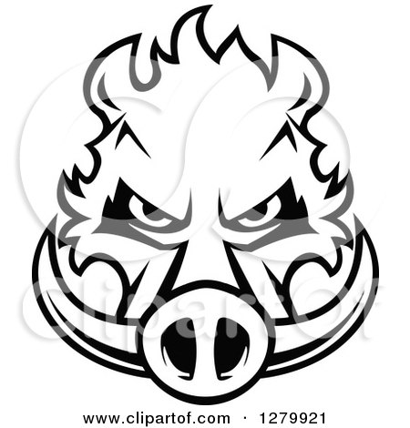Clipart of a Black and White Aggressive Boar Head - Royalty Free Vector Illustration by Vector Tradition SM