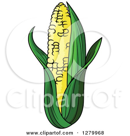 Clipart of a Fresh Corn on the Cob - Royalty Free Vector Illustration by Vector Tradition SM