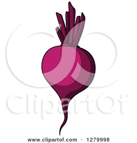 Clipart of a Purple Beet - Royalty Free Vector Illustration by Vector Tradition SM