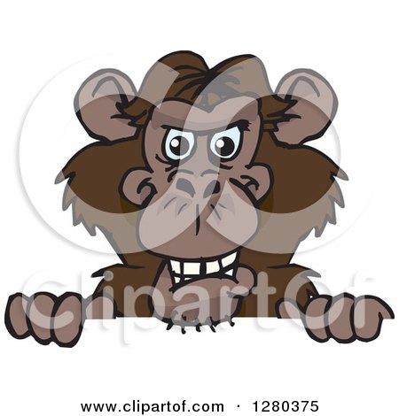 Clipart of a Happy Chimpanzee Monkey Peeking over a Sign - Royalty Free Vector Illustration by Dennis Holmes Designs